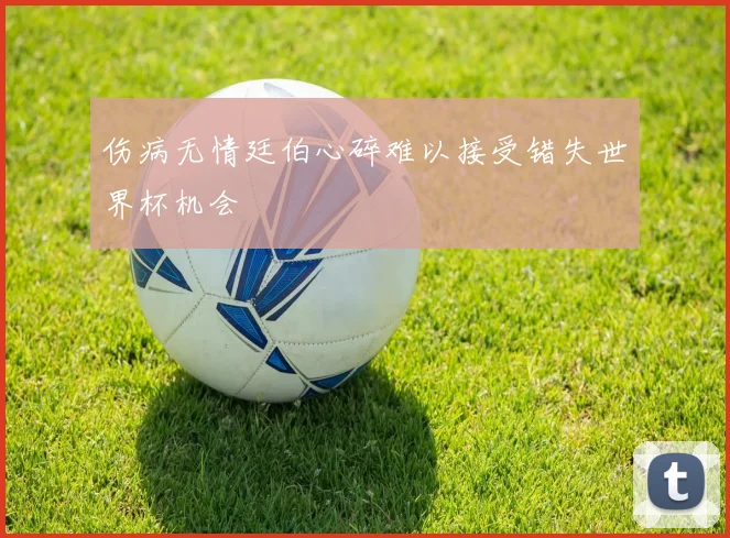 伤病无情廷伯心碎难以接受错失世界杯机会