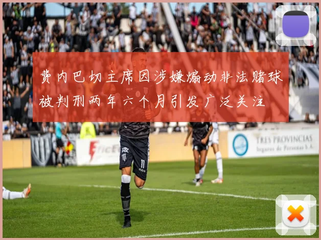 费内巴切主席因涉嫌煽动非法赌球被判刑两年六个月引发广泛关注