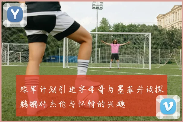 绿军计划引进字母哥与墨菲并试探鹈鹕对杰伦与怀特的兴趣