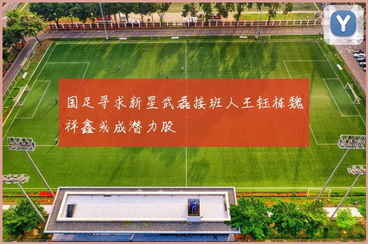 国足寻求新星武磊接班人王钰栋魏祥鑫或成潜力股